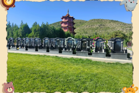龙山陵园公墓风水怎么样