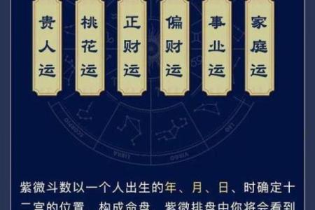 紫薇斗数文机