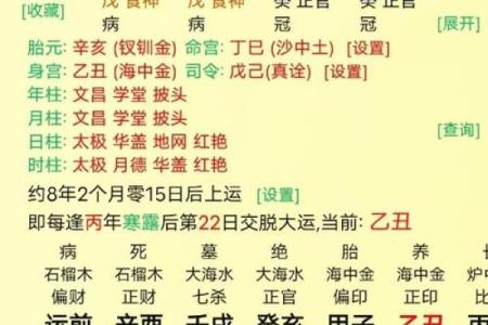 两行成象的八字特征,两气成象格命好吗