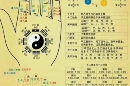 紫薇斗数掌中决