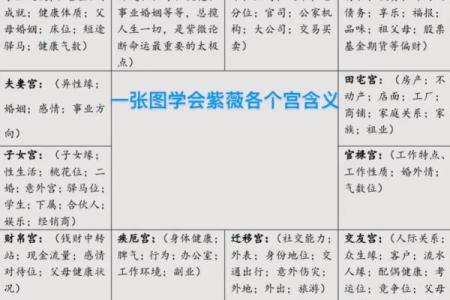 紫薇斗数书籍详解