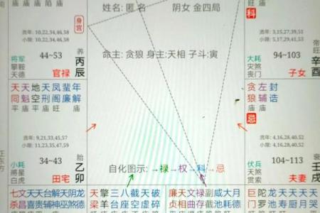 紫薇斗数朋友资助