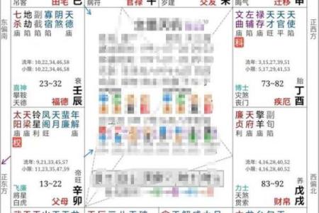 紫薇斗数免费测运势