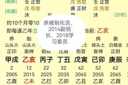 算命的讲究都有哪些方面