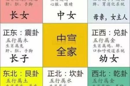 八字宫动