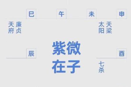 紫薇斗数星辰排序