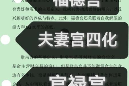 紫薇斗数福德宫看婚姻