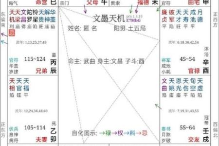 紫薇斗数怎么批命