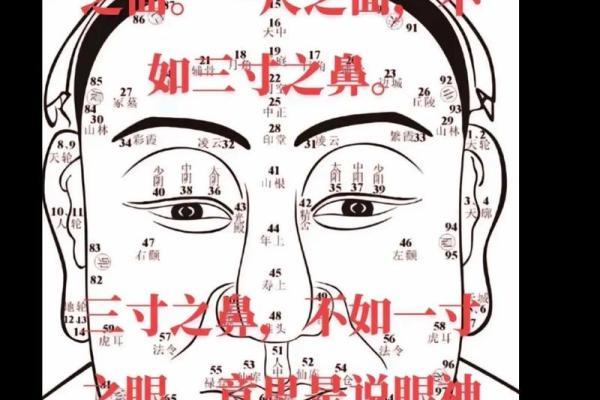 如何根据八字预测个人命运？