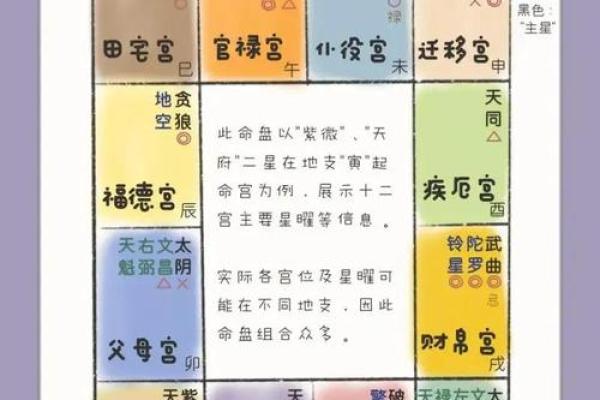 加会紫薇斗数