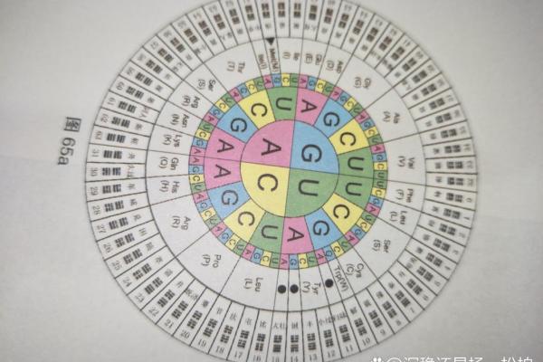 八字干支