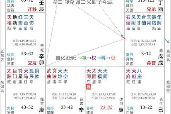 紫薇斗数流年看外出