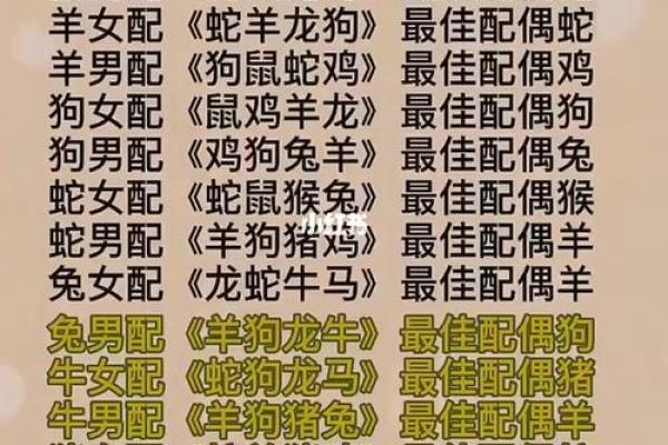 生肖姻缘算命