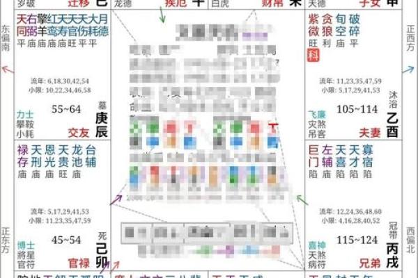 能嫁有钱老公的紫薇斗数女