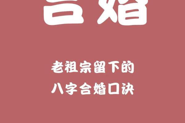 两人合八字