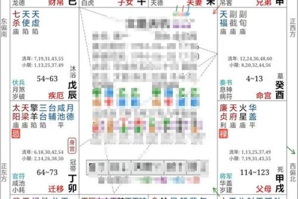 紫薇斗数实例详解视频