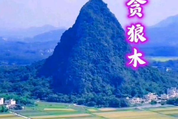 紫薇斗数主星背景蓝色