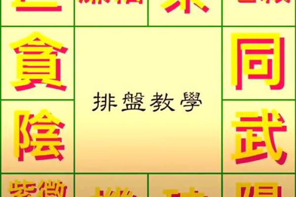 姓名紫薇斗数