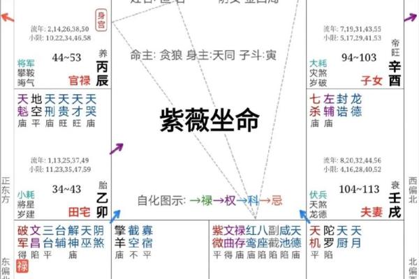紫薇斗数怎么看一个人适合学周易