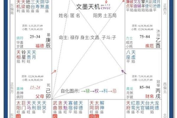 《紫微斗数》命盘解析可以运用哪些领域？