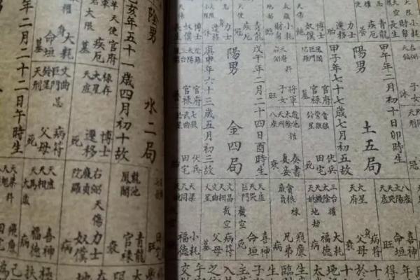 紫微斗数正统 紫微斗数!？