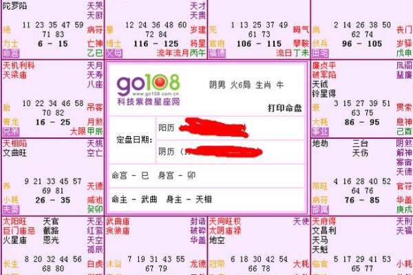 紫薇星盘什么意思