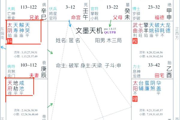 紫薇斗数事业详细解释