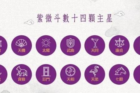 紫薇斗数格局分类