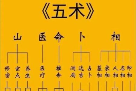 加会紫薇斗数
