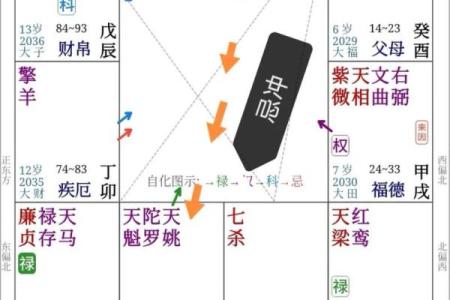 紫薇斗数流年看外出