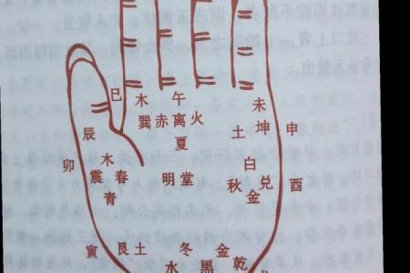 罕见的掌纹手相算命和图解