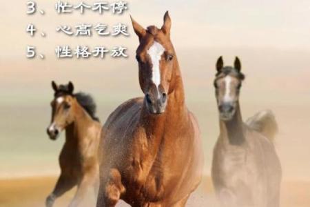 紫薇斗数驿马星