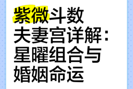 紫微斗数之夫妻宫与诸星，巨门星在夫妻宫是什么意思？