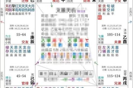 能嫁有钱老公的紫薇斗数女