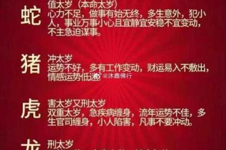 太岁与紫薇斗数