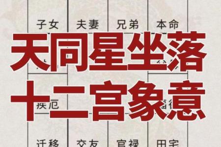 紫薇斗数实例详解视频