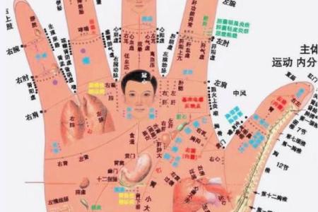 手相图解大全女 右手 算命 手掌红润柔软
