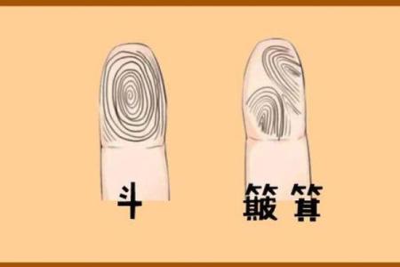 看指纹算命