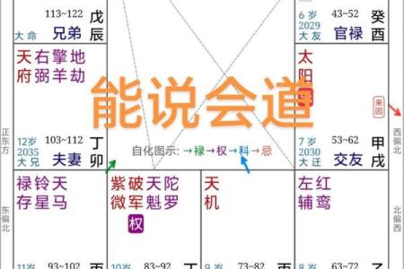紫薇斗数父母宫情敌