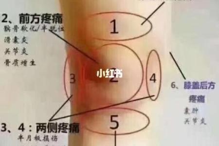 腿部不同位置的胎记算命分析-