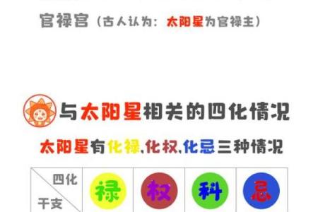 紫微斗数之事业宫与诸星，太阳星在事业宫是什么意思？