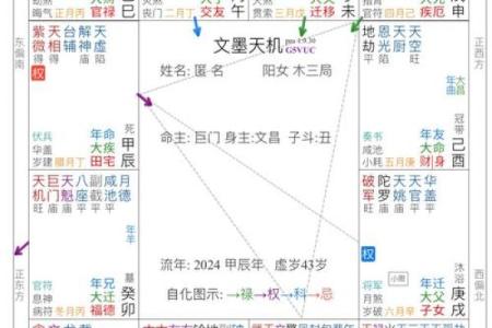 文曲紫薇斗数