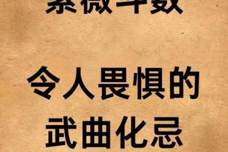 紫薇斗数精成国学