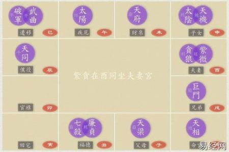 紫微斗数之夫妻宫与诸星,太阳星在夫妻宫是什么意思？