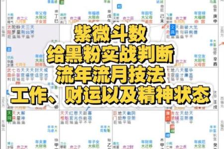 紫微斗数正统 紫微斗数!？