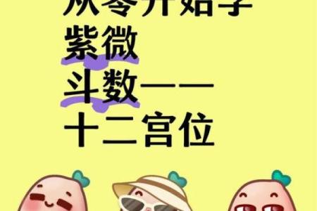 紫微斗数视频教学 紫微斗数视频教学好的推荐？