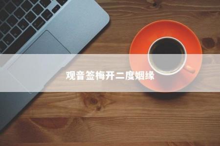 观音签梅开二度姻缘