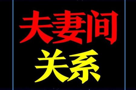 紫薇斗数看再婚