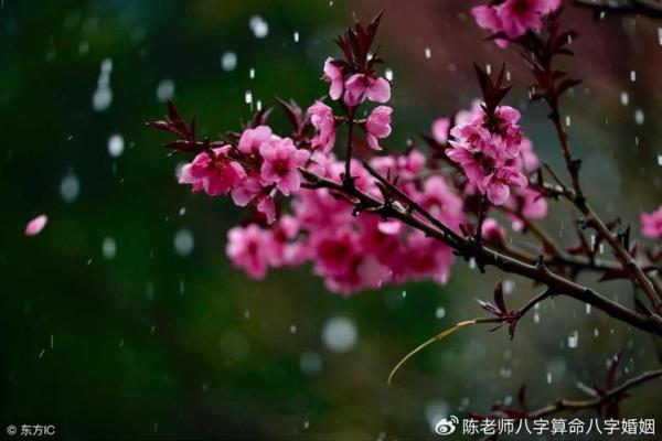 八字中最厉害的桃花有哪些呢