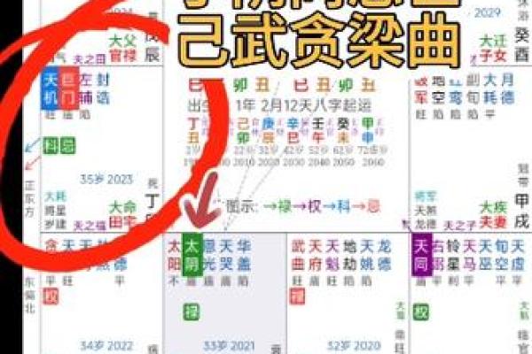 紫薇斗数流出忌